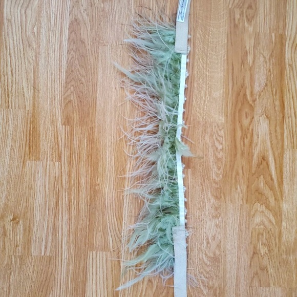Ostriche feathered belt anthropology - Picture 2 of 4